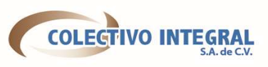 Colectivo Integral